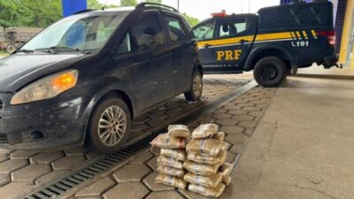 MARANHÃO: Mais de 23 kg de skunk são aprendidos na BR-226, em Jenipapo dos Vieiras