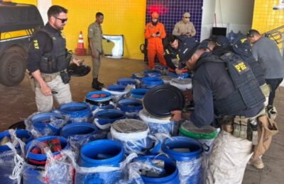 Mais de 1 tonelada de drogas é apreendida em caminhão na BR-230, no Maranhão