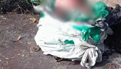 Recém-nascido é encontrado morto dentro de sacos às margens da BR-222, em Vitória do Mearim