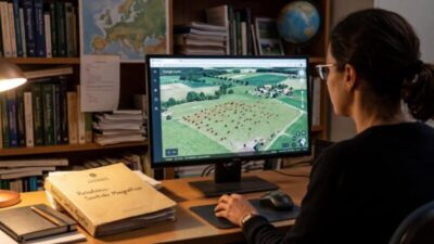 Cientistas descobrem que as vacas possuem uma bússola magnética natural ao redor de seu corpo