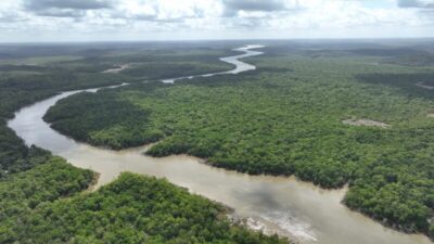 Maranhão pode ganhar uma nova reserva ambiental de 17 km² em Alcântara com foco em impacto social e pesquisa