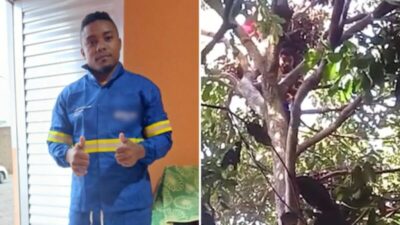 Resgate de maranhense encontrado em cima de árvore já dura mais de 36h