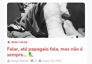 Nem todo Chico é Francisco, nem todo Zé é José… e papagaio só fala se o dono quiser. 🦜