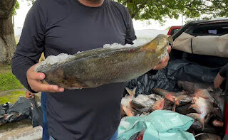 Quarto mais votado em Bacabal, Josimar começa a “meter a cara de novo” mesmo sem ter movido uma palha pelo município
