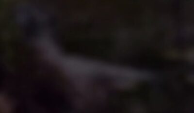 Corpo de homem é encontrado submerso em rio na cidade de Cururupu/MA