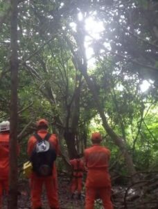 Maranhense desaparecido é encontrado em uma árvore em Salvador