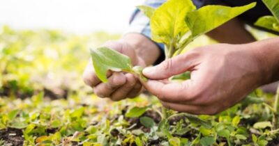 Fundo Socioambiental Caixa divulga os novos projetos aprovados, dezessete deles no Maranhão