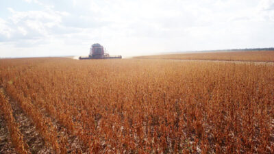 Exportações do Nordeste atingem maior volume em três anos e somam US$ 24,8 bilhões em 2025