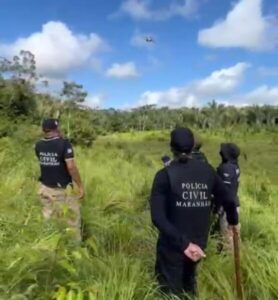 Polícia Civil destrói 10 Mil pés de maconha em Pedro do Rosário (MA)