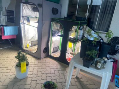 Mulher é presa após polícia encontrar estufas de maconha em condomínio de luxo em Imperatriz