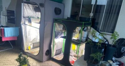 Polícia Civil do MA prende moradora de condomínio de luxo que cultivava maconha e divulgava nas redes sociais