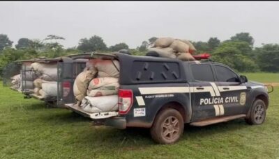 Polícia Civil apreende cerca de duas toneladas de maconha e prende três pessoas em Grajaú