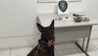 Operação apreende drogas e simulacro de arma no bairro da Ilhinha, em São Luís