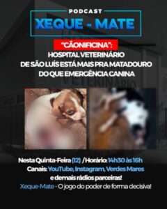 “Cãonificina”: Hospital Veterinário de São Luís está mais para matadouro do que emergência canina