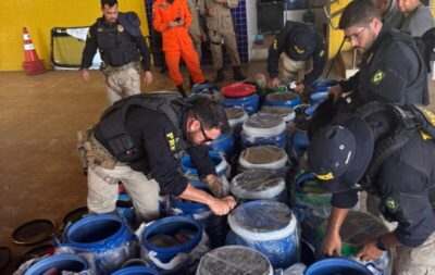 PRF intercepta mais de 1 tonelada de drogas na BR-230 no Maranhão