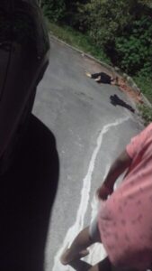 Homem é morto com golpes de tijolo na cabeça em Paço do Lumiar