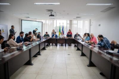CCJ aprova projetos de Iracema Vale sobre consumo e combate ao feminicídio
