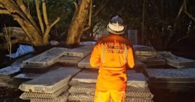 Jovem maranhense permanece há mais de 60 horas no topo de árvore em Salvador