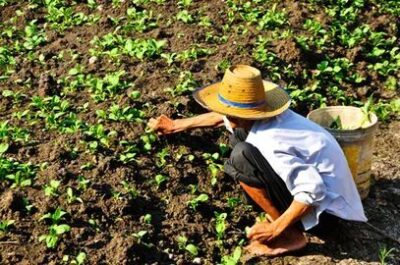 Incra reconhece 1.612 famílias quilombolas do Maranhão para acesso à reforma agrária