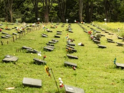 Concessão de Cemitérios de São Paulo completa três anos