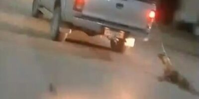 Motorista é flagrado arrastando cachorro por ruas de Redenção