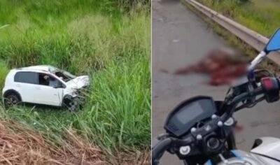 Dois cavalos morrem após colisão; veículo capotou na rodovia