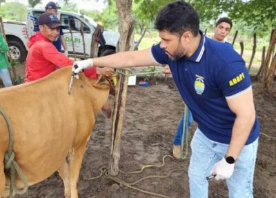 Piauí tem desempenho positivo em auditoria do Ministério da Agricultura sobre Serviço Veterinário Estadual