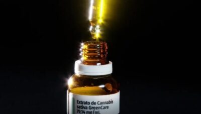 Anvisa aprova cultivo de cannabis por empresas e amplia acesso