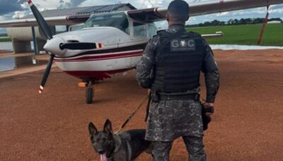 Avião é apreendido após piloto ser flagrado com droga e folhasde coca