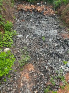 Lixo hospitalar é descartado em território quilombola no Maranhão