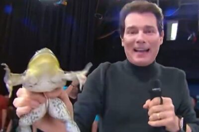 Celso Portiolli corre atrás de perereca ao vivo no SBT. Veja vídeo