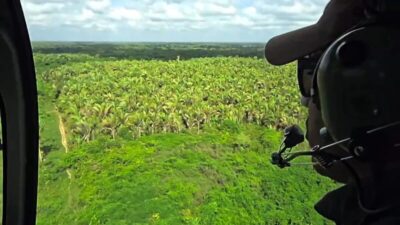 Buscas por irmãos desaparecidos ganham nova varredura após 30 dias