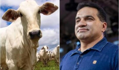 Compra de sêmen de gado vira argumento de defesa no julgamento de Josimar Maranhãozinho no STF