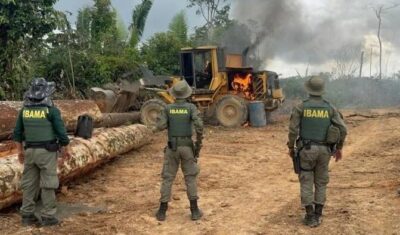 Ibama e Incra lançam edital com 60 vagas e salários de até R$ 11 mil