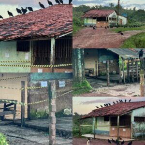 Justiça expõe falha da Prefeitura de Turiaçu após interdição de matadouro e prejuízo à população