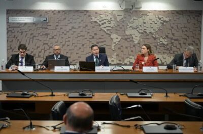 Minerais raros: debate sugere ajustes em projeto para viabilidade da exploração