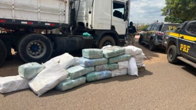 PRF apreende quase uma tonelada de skunk no interior do Maranhão