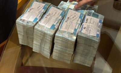 PF deflagra operação Galho Fraco para apurar desvio de recursos públicos