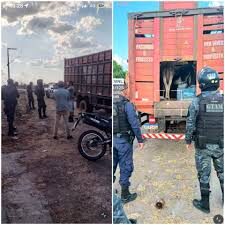 Caminhão com carga de jumentos quesupostamente seriam abatidos para ser vendidoscomo carne de gado é apreendido no Maranhão