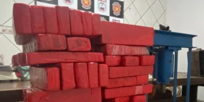 Polícia apreende 110 quilos de drogas em operação em Grajaú