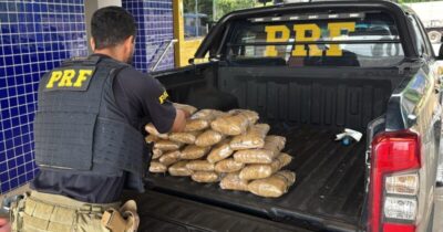 Motorista é preso transportando 23kg de maconha skunk no Maranhão