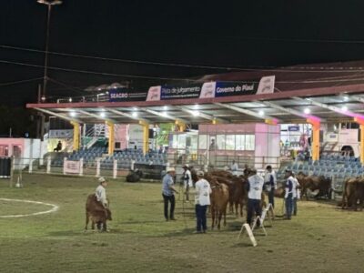 A Acrivi representada pela Presidente Inalda Béder prestigia a EXPOAPI e destaca inovação e sustentabilidade no agronegócio nordestino