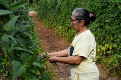 Lei acaba com multa em contagem de tempo anterior a filiação ao INSS