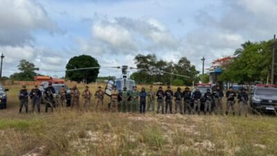 FORÇAS DE SEGURANÇA DESTROEM 4,5 MIL PÉS DE MACONHA EM OPERAÇÃO NO MARANHÃO