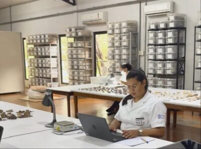 Mulheres lideram 54,6% das bolsas da Fapepi e são maioria em três das quatro modalidades de pesquisa