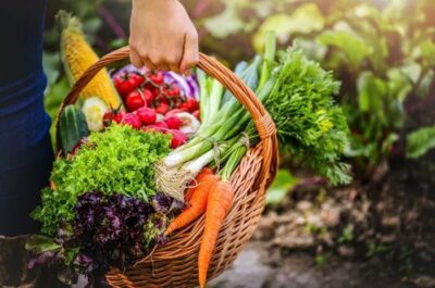 CRA vota projeto para facilitar doação de alimentos e combater desperdício