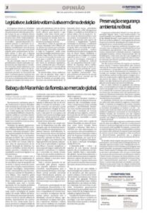 Babaçu do Maranhão: da floresta ao mercado global