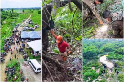 Luto nas buscas em Bacabal: Morre Yara, cadela farejadora do Corpo de Bombeiros
