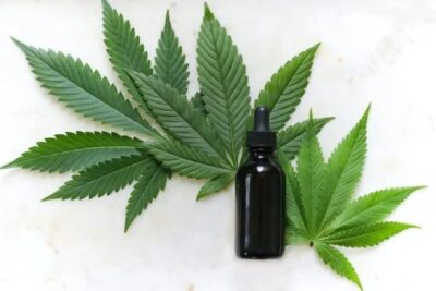Anvisa atualiza medidas sobre cannabis medicinal e amplia acessos à população