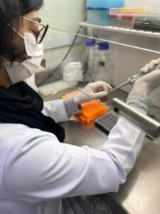 Exame De Sangue Pode Ajudar A Detectar Câncer De Mama Mais Cedo